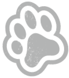 paw